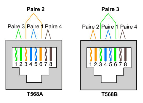 RJ45Cablage