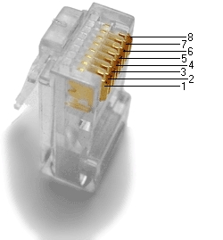 plug numerote